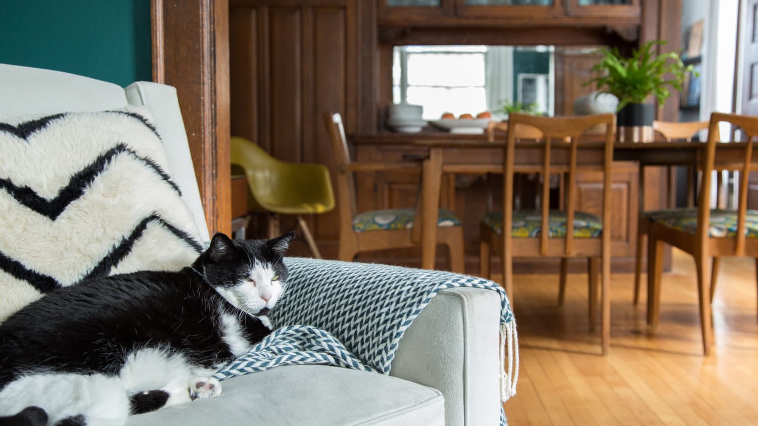 The $8 IKEA GREJSIMOJS Storage Container Is “Irresistibly Cute